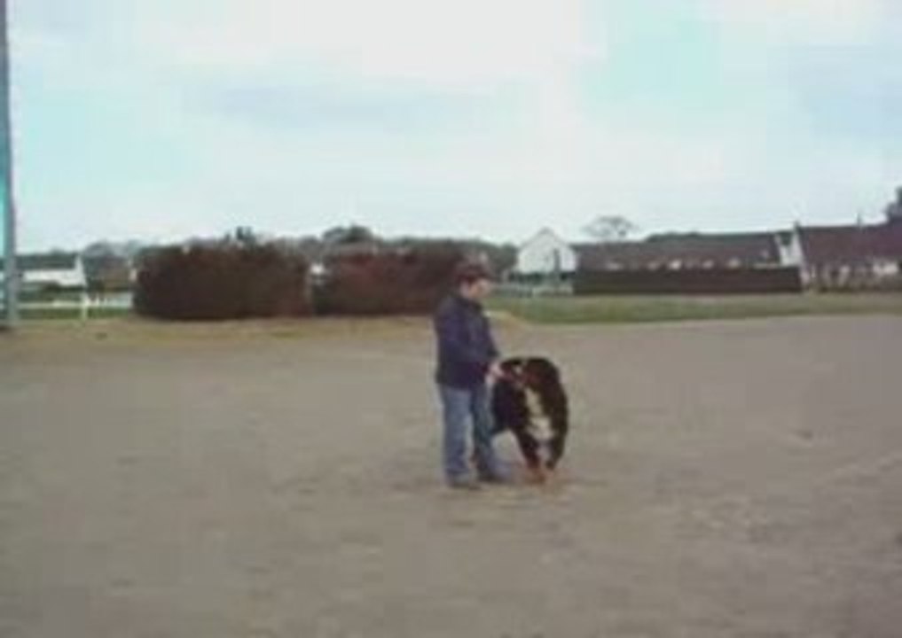 CATCH DEBUT OBERYTHMEE