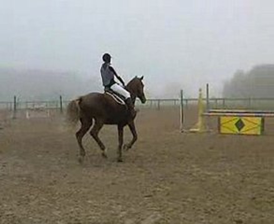 Elva D'aubry & Moi