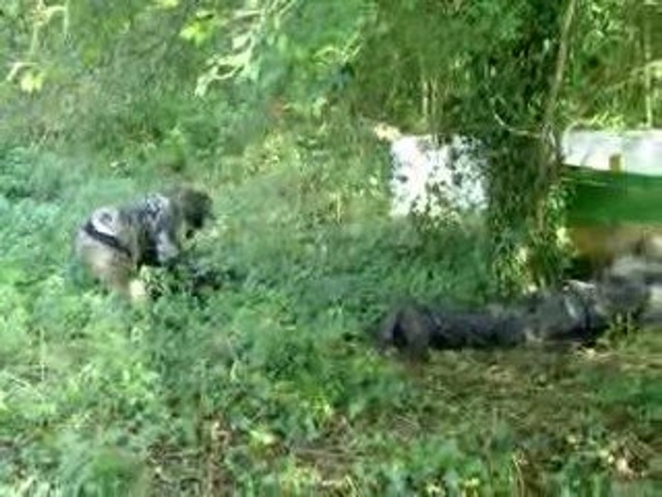 Jo et Quentin qui m'attaque au bunker