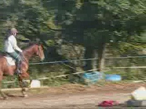 Orelie Du Guilly. Fin de séance de dressage.