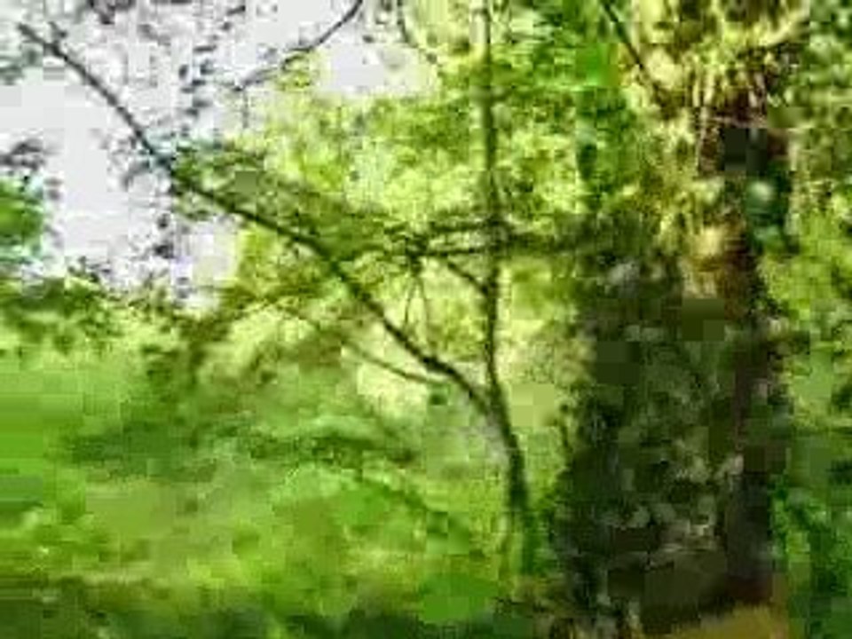 Jo et quentin qui tente le flanc du bunker