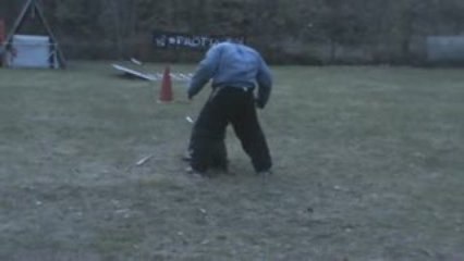 défense du maitre bosron