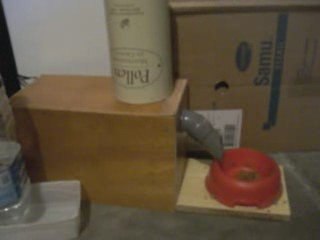 comment se débarasser de la corvée de croquettes