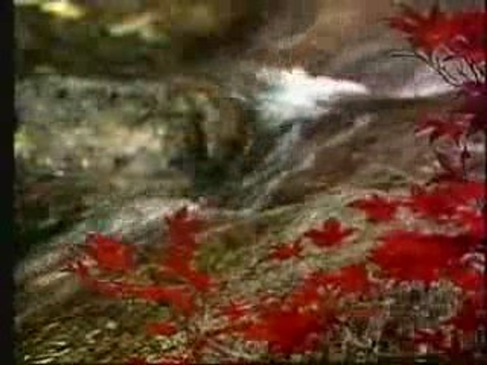 Clannad - Harry_s Game