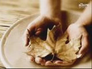 serhat solmaz- sen benim hiç bir şeyimsin -şiir-video