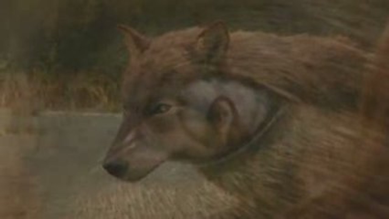 Twilight new Monn!!!