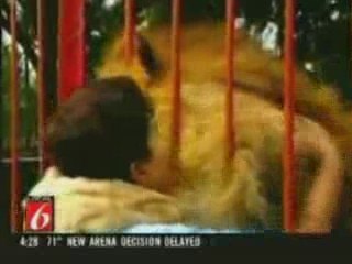 Lion hugs rescuer