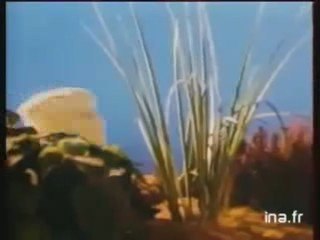 VOLKSWAGEN POLO AUTOMOBILE