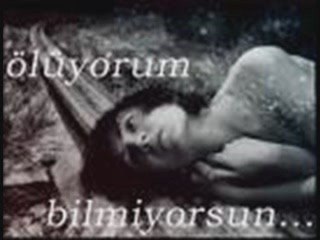 serhat solmaz- bir gün anlarsın- şiir