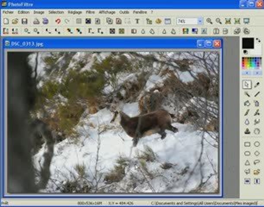 Photofiltre Compression Image Video Dailymotion
