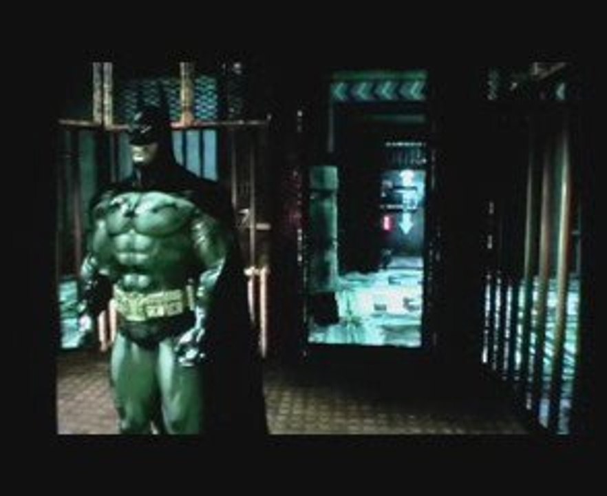 Aperçu Batman Arkham asylum (PS3)