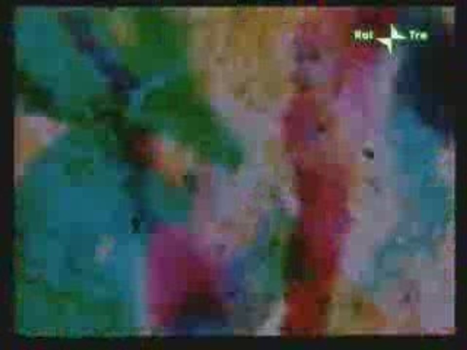 Brakhage Garden Path