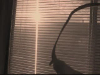 The Space Saving Geeks - New Episode Every Once in a While!