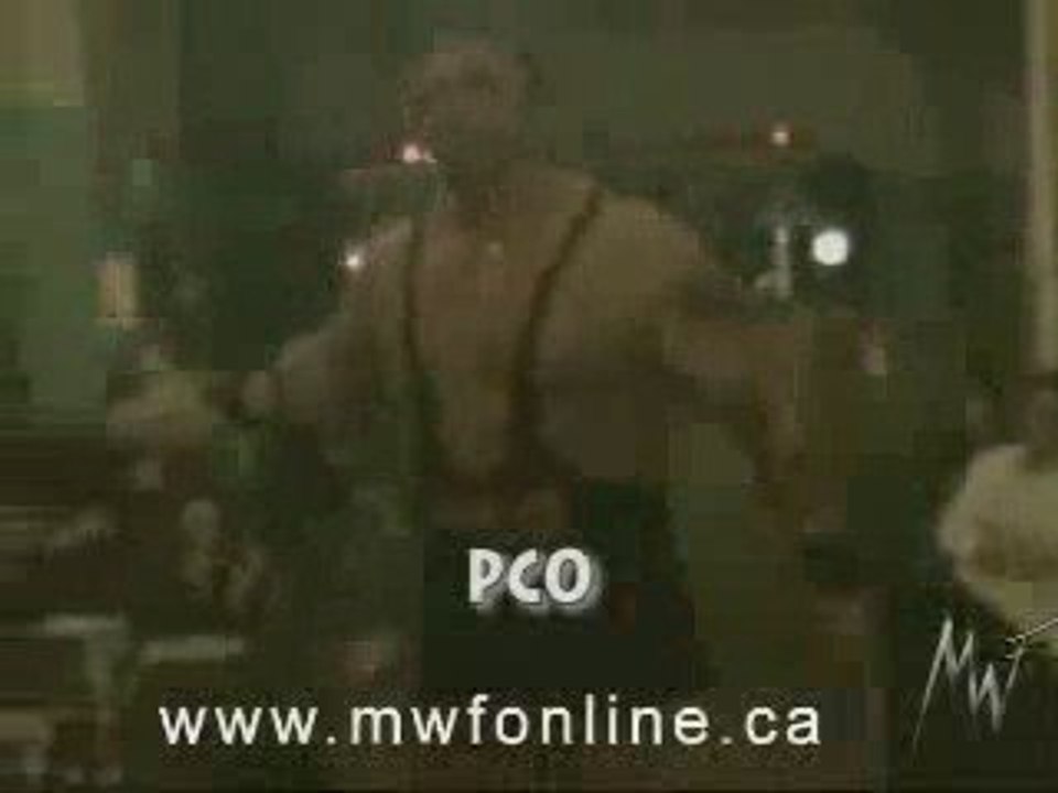 PCO ABUNAI ストリートファイター あぶない ピエールカール PIERRE CARL OUELLET