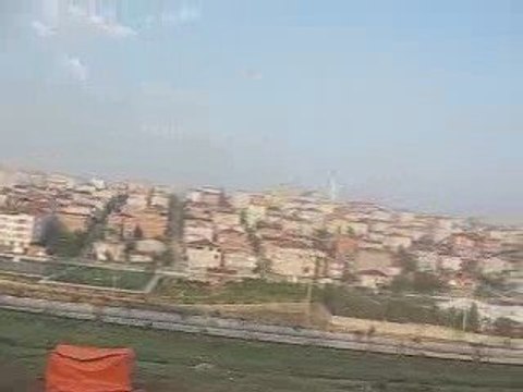 Mavi Güvercin Taklacı (15-20 metre. Eke kuş)