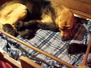 où tu vas, voir maman! et toi ? voir maitresse.