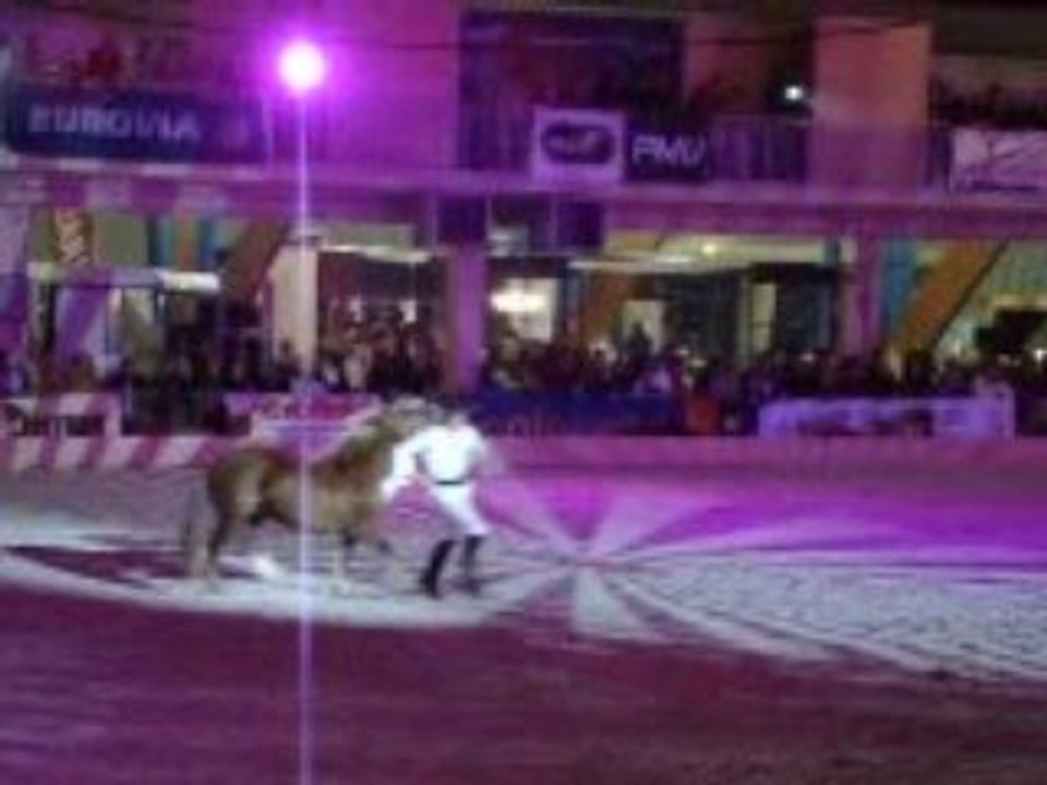 Jean-François Pignon salon Equi champ' 2009