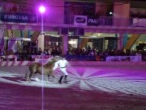 Jean-François Pignon salon Equi champ' 2009