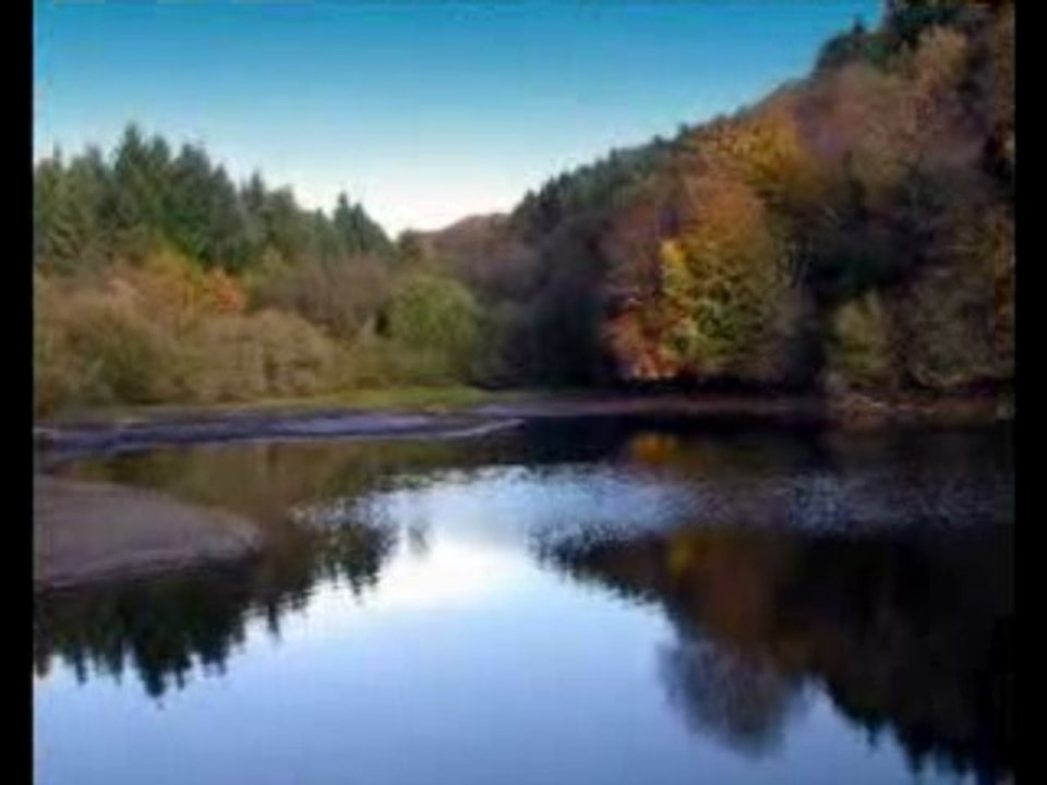 Scrabble bravo les mots