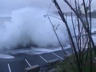 Tempete 8 novembre 2009 - GUETHARY