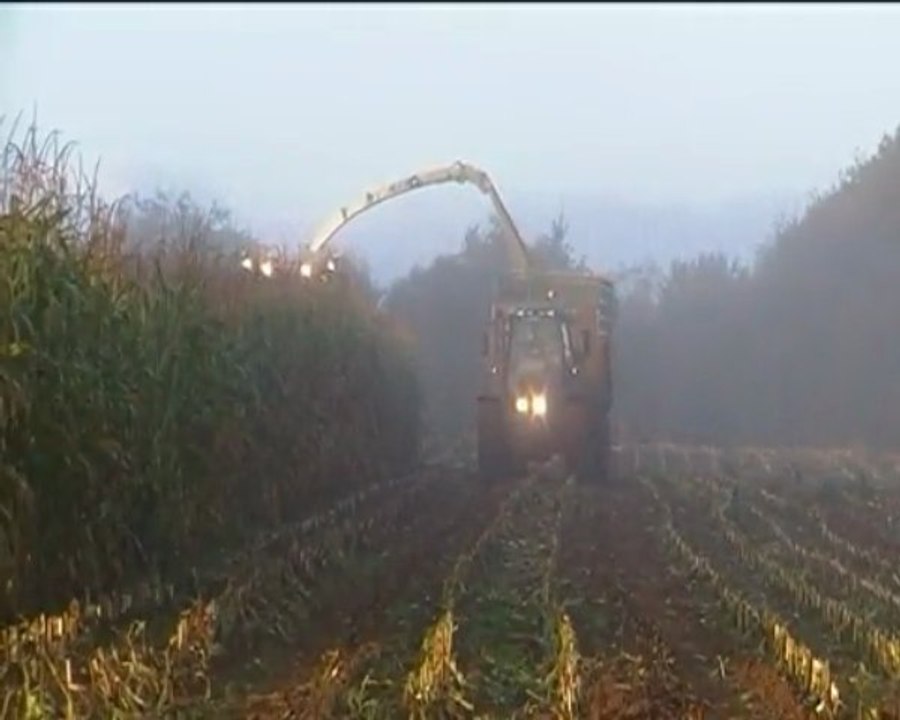 ensilage de maïs 2009 sequence n°3 chez videoagri50