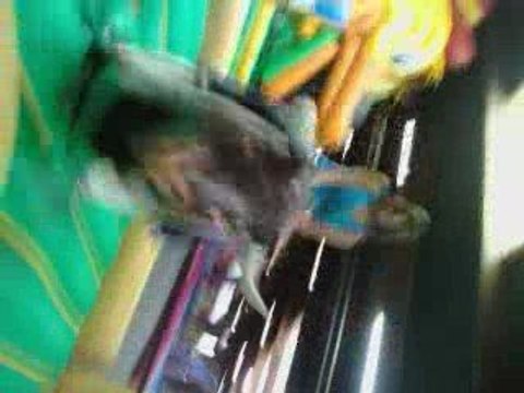 bey é moi sur le taureau