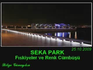 Seka Park'ta Renklerin Ahengi
