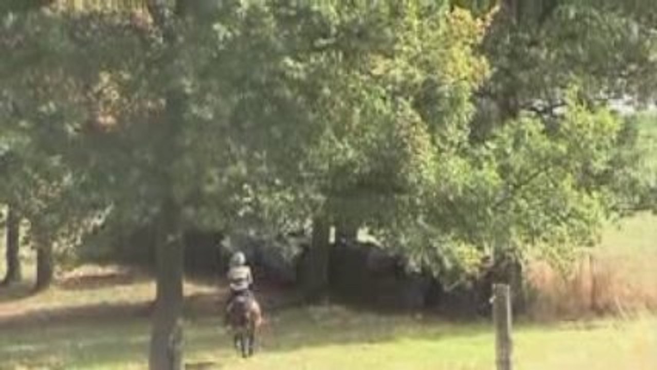 cross marchin 2009