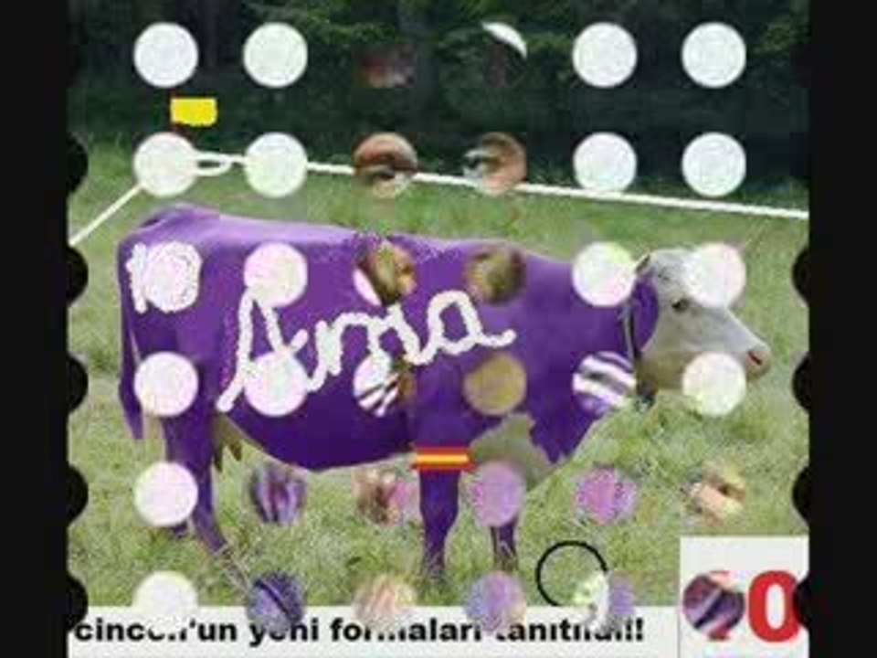 mosmor oldun mu:)