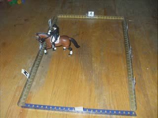 The Mega Schleich Stop Motion Series #1-Part 4