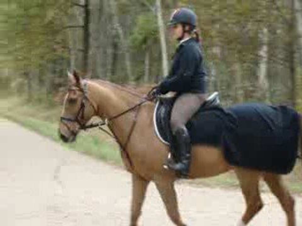 M et moi