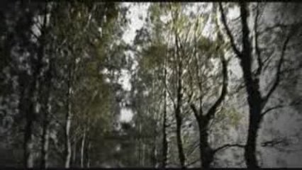 Andreas Gross - 1847