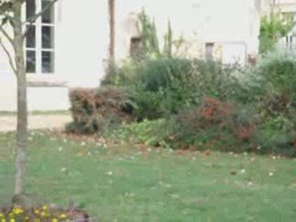 Mariage d'Anthony & Cécile