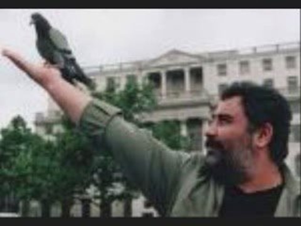 amet kaya-hadi sen git işine