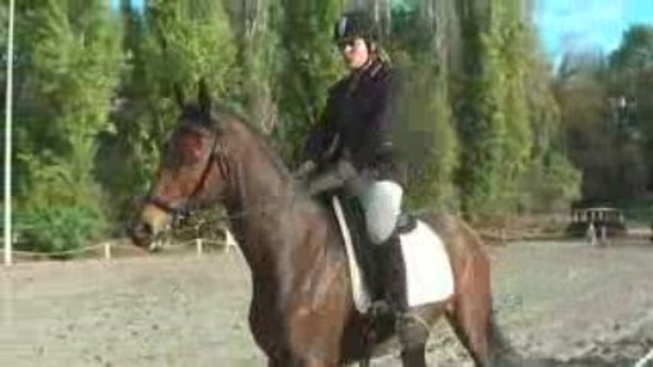 MOOMOON ET FREEZE 25 octobre 2009