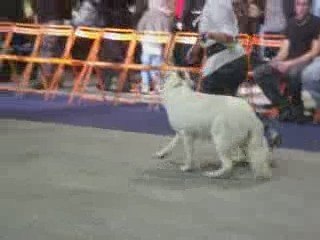 Daëlynn expo nantes