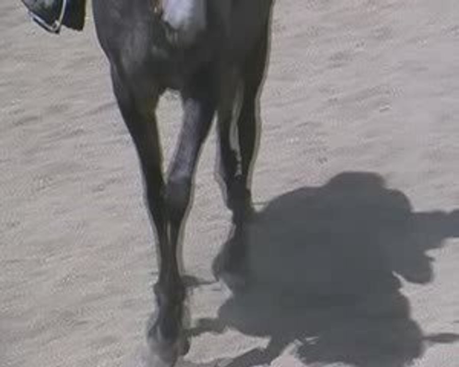 Souvenirs 2008 et 2009