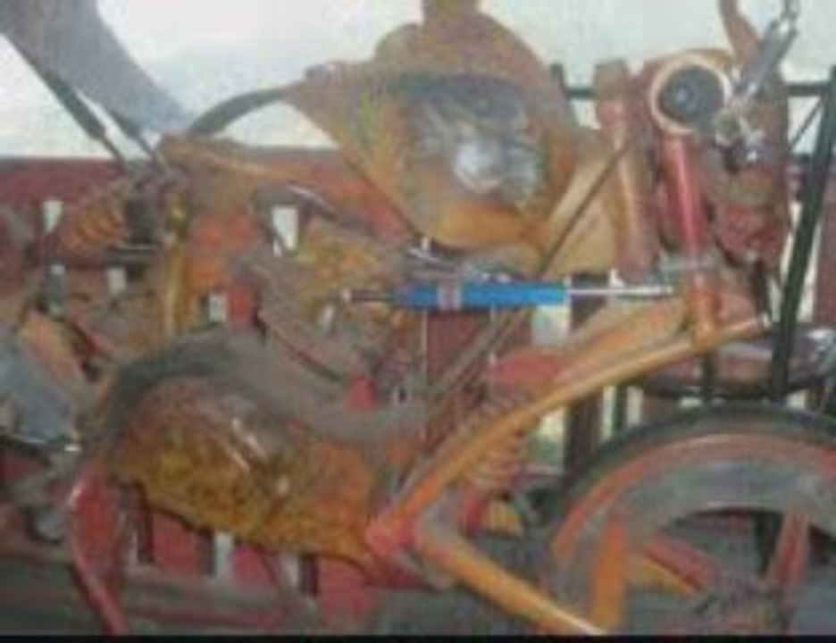 Sulawesi Tour