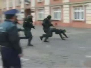 police roumaine en action