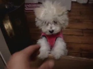 Iris bébé 03 !!!