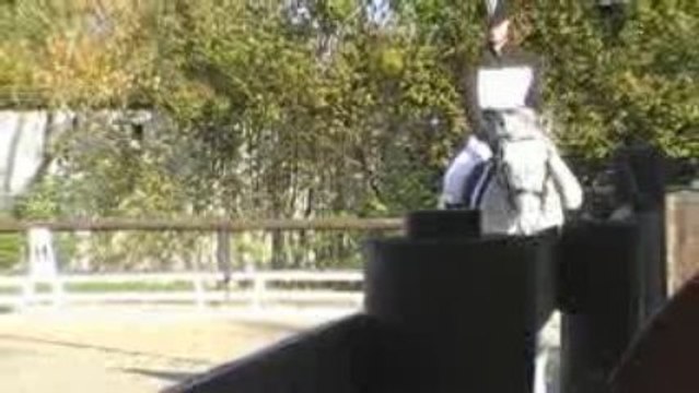 CCE Dressage / Margot - Milton