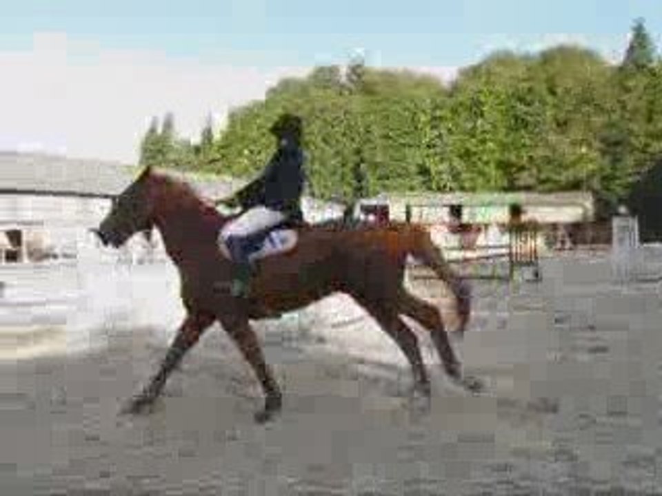 Concours à Lothéa (25-10-09)