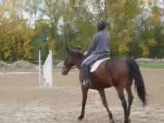 Répétition reprise dressage avec Goss
