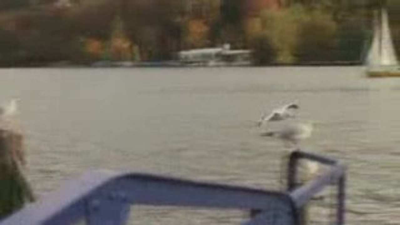 Canon 7D Autumn Slowmotion