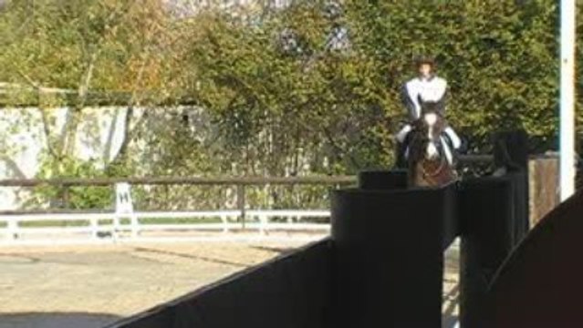 CCE Dressage / Vanessa - Zadeke