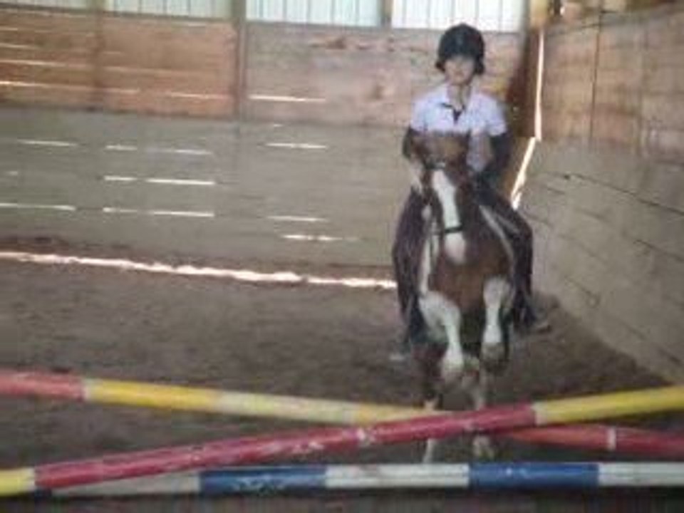 moa et devis séance saut d'obstacle