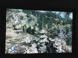 COD 5 Bug sur CLIFFSIDE