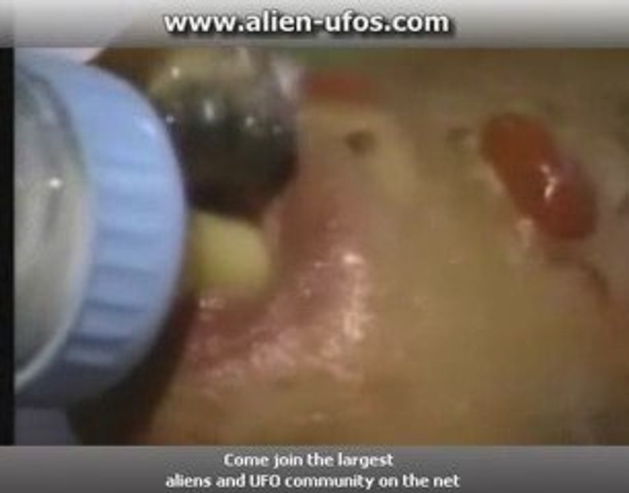 alien child