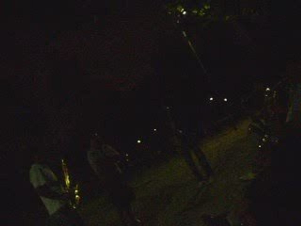 videos de yuri