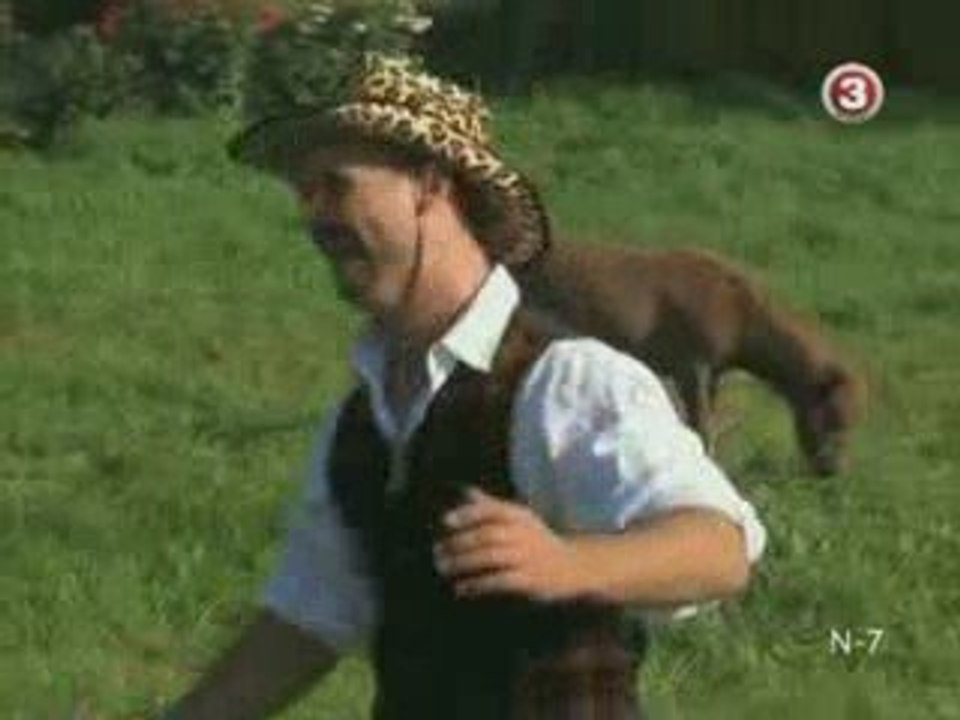 bružas